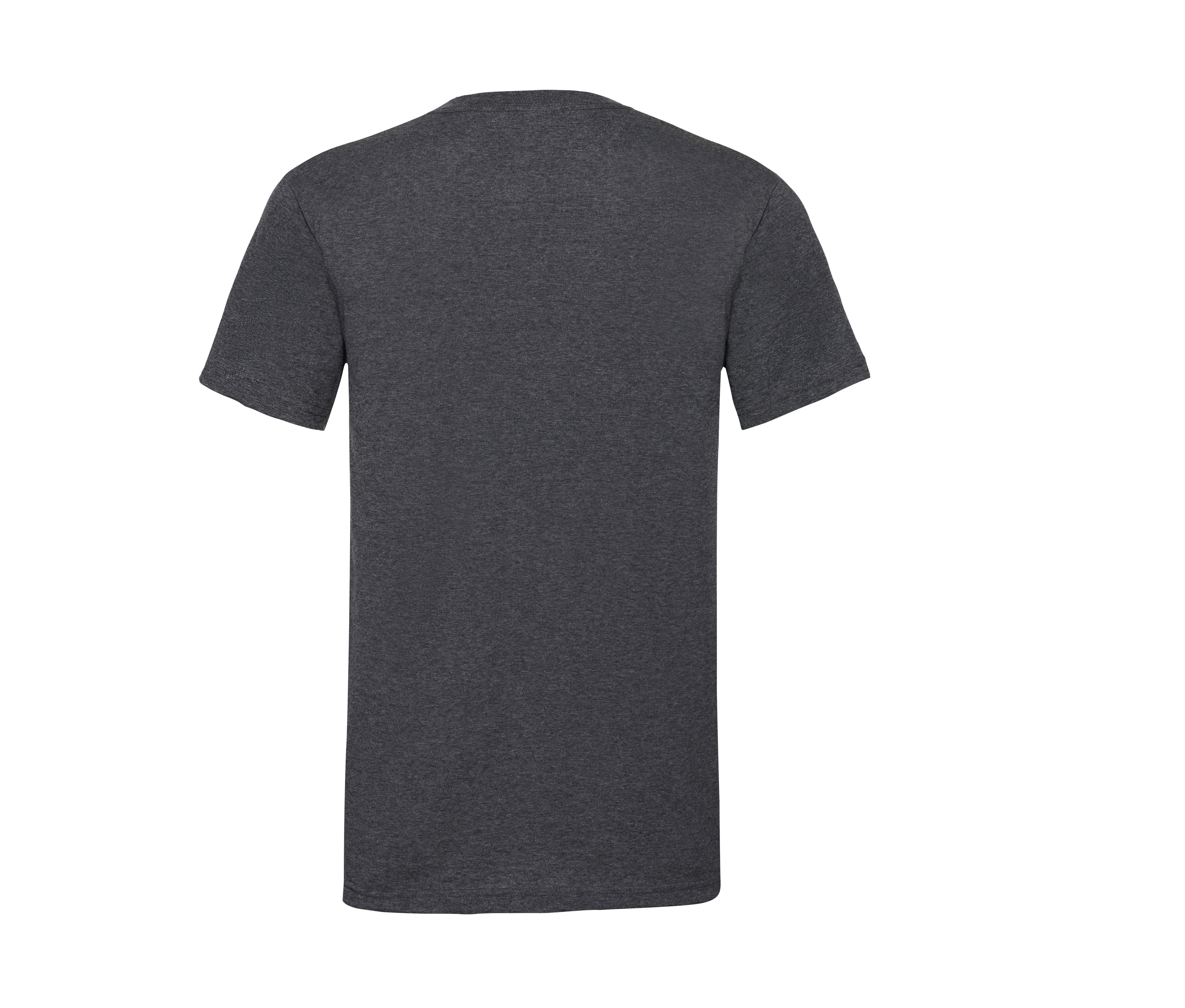 VALUEWEIGHT V-NECK T