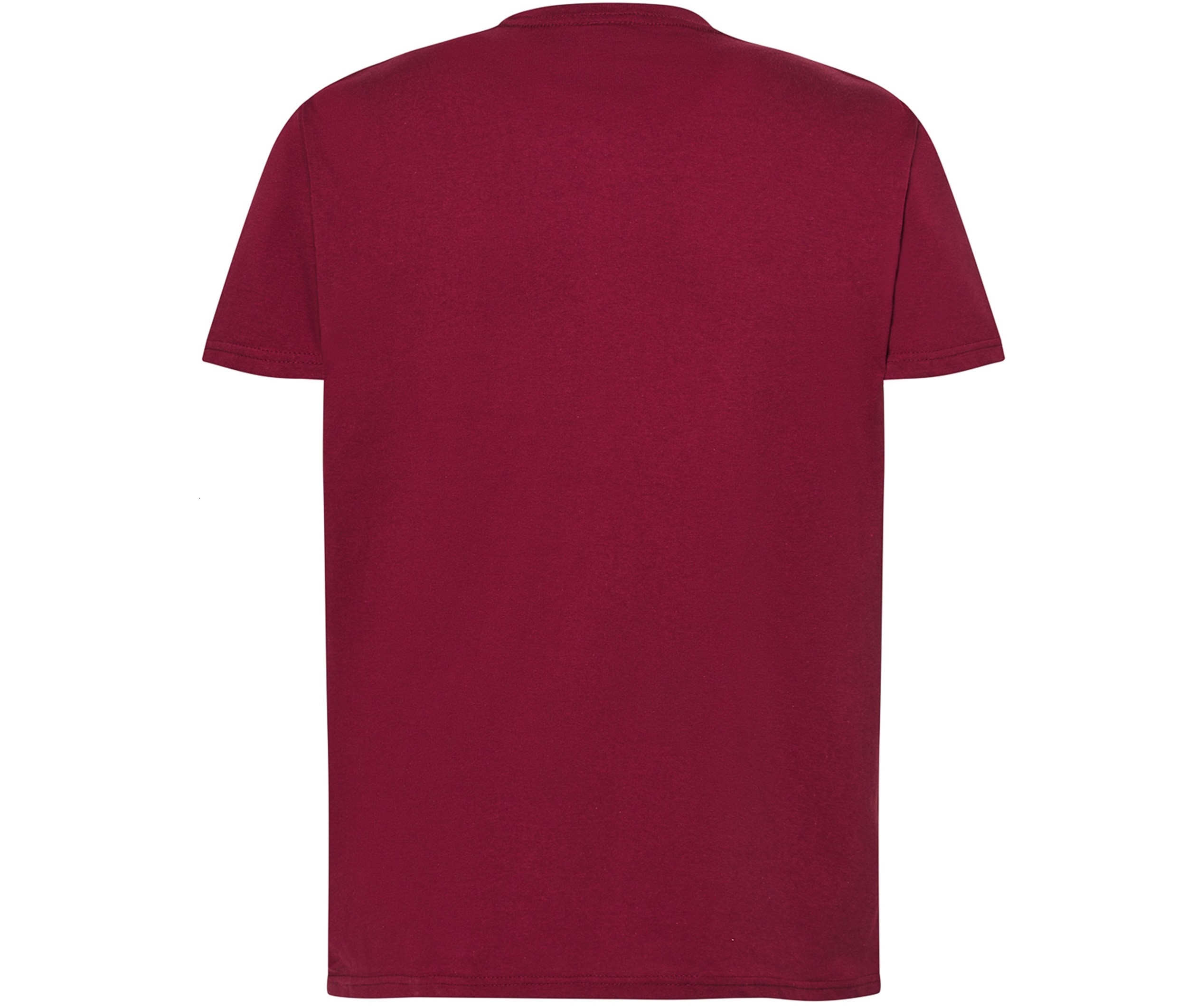 MAN REGULAR T-SHIRT