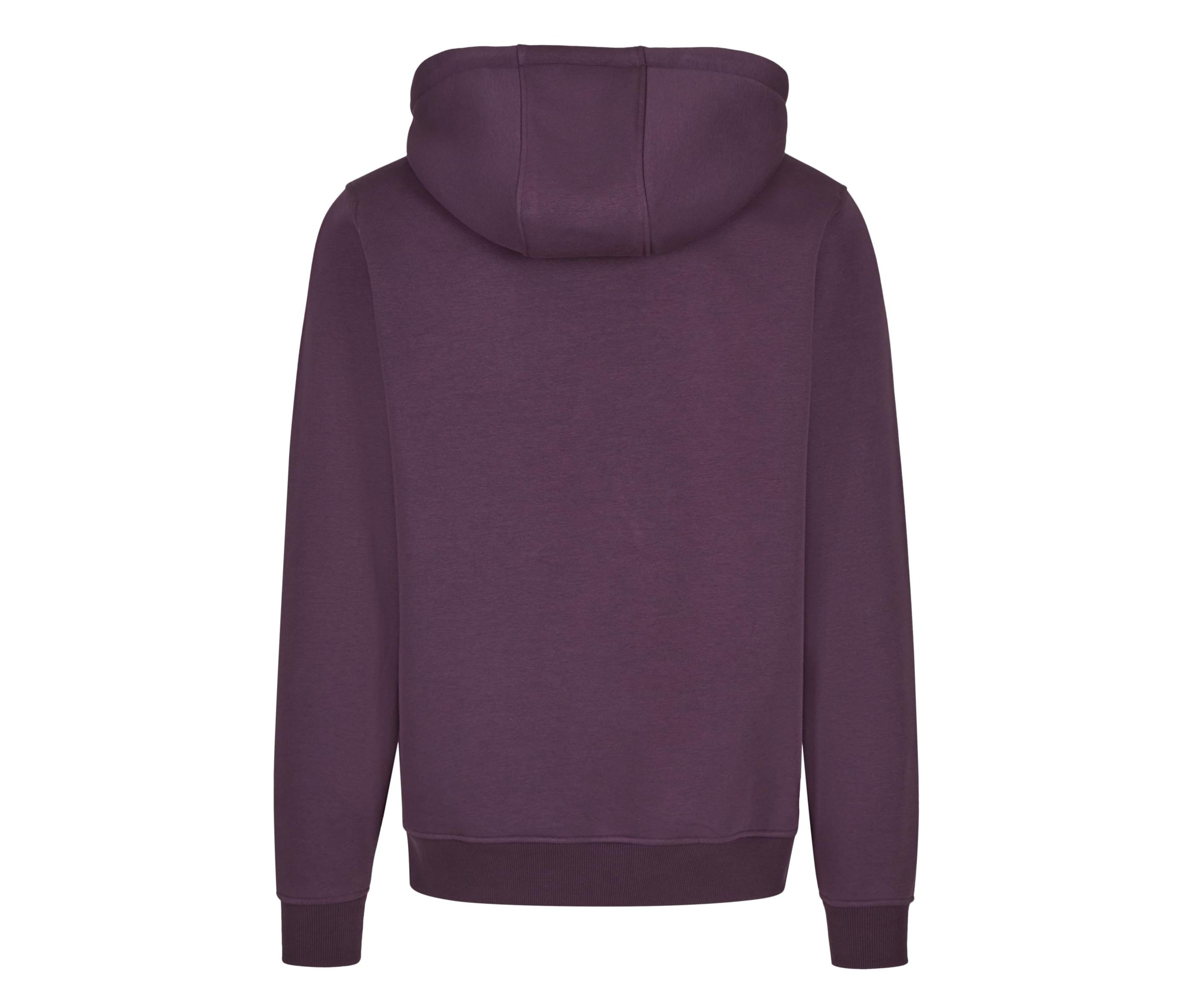 BASIC HOODY