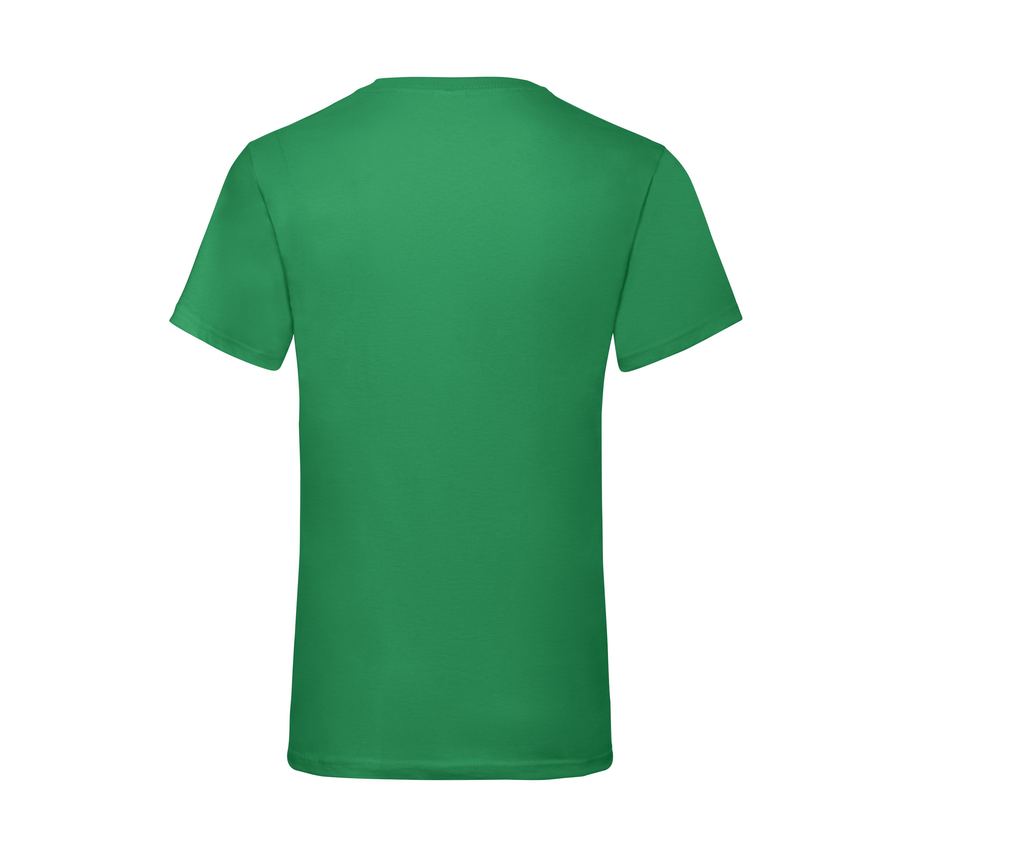 VALUEWEIGHT V-NECK T