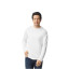 SOFTSTYLE ADULT LONG SLEEVE T-SHIRT