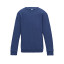 KIDS AWDIS SWEAT