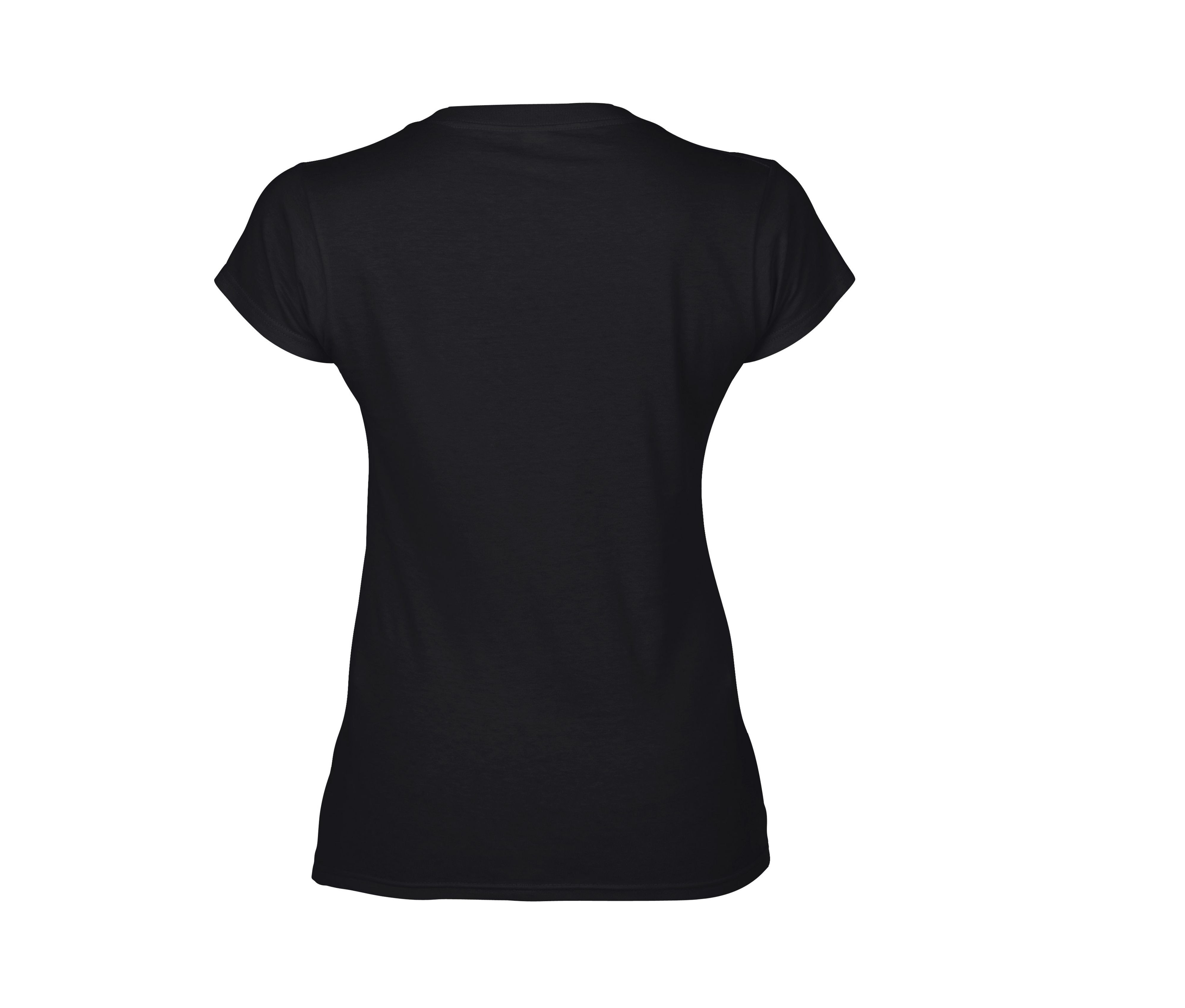 SOFTSTYLE® LADIES' V-NECK T-SHIRT