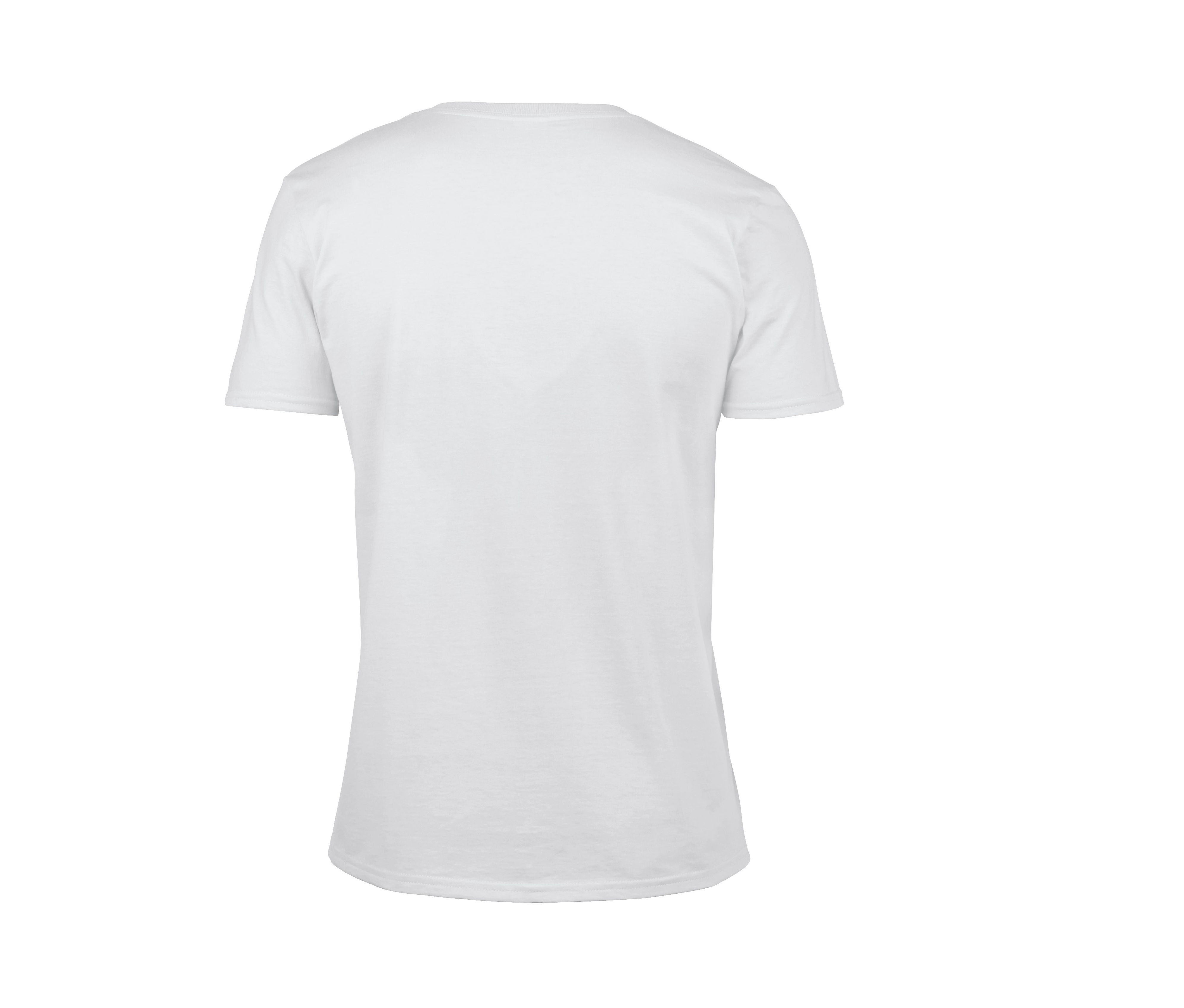 SOFTSTYLE ADULT V-NECK T-SHIRT