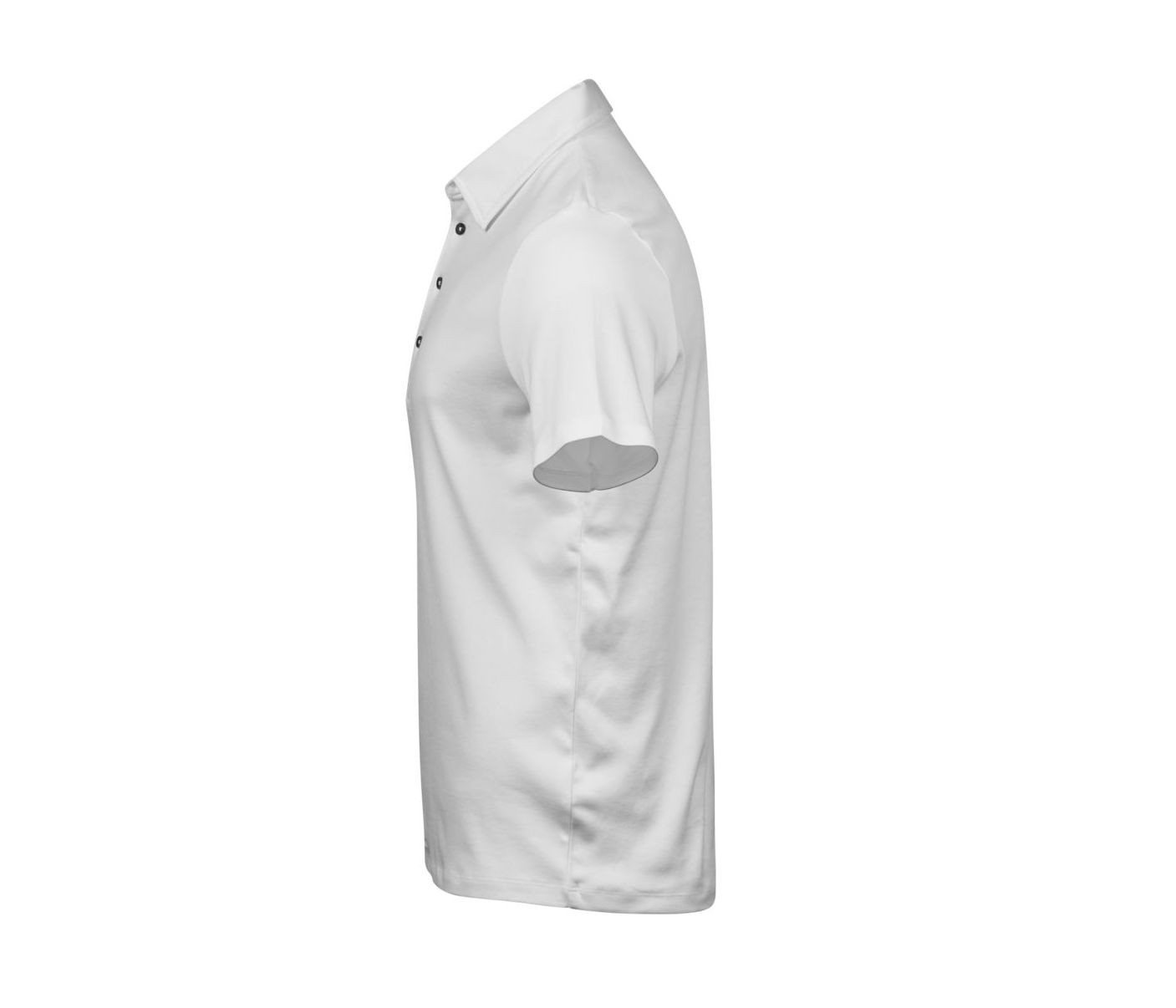 PIMA COTTON POLO