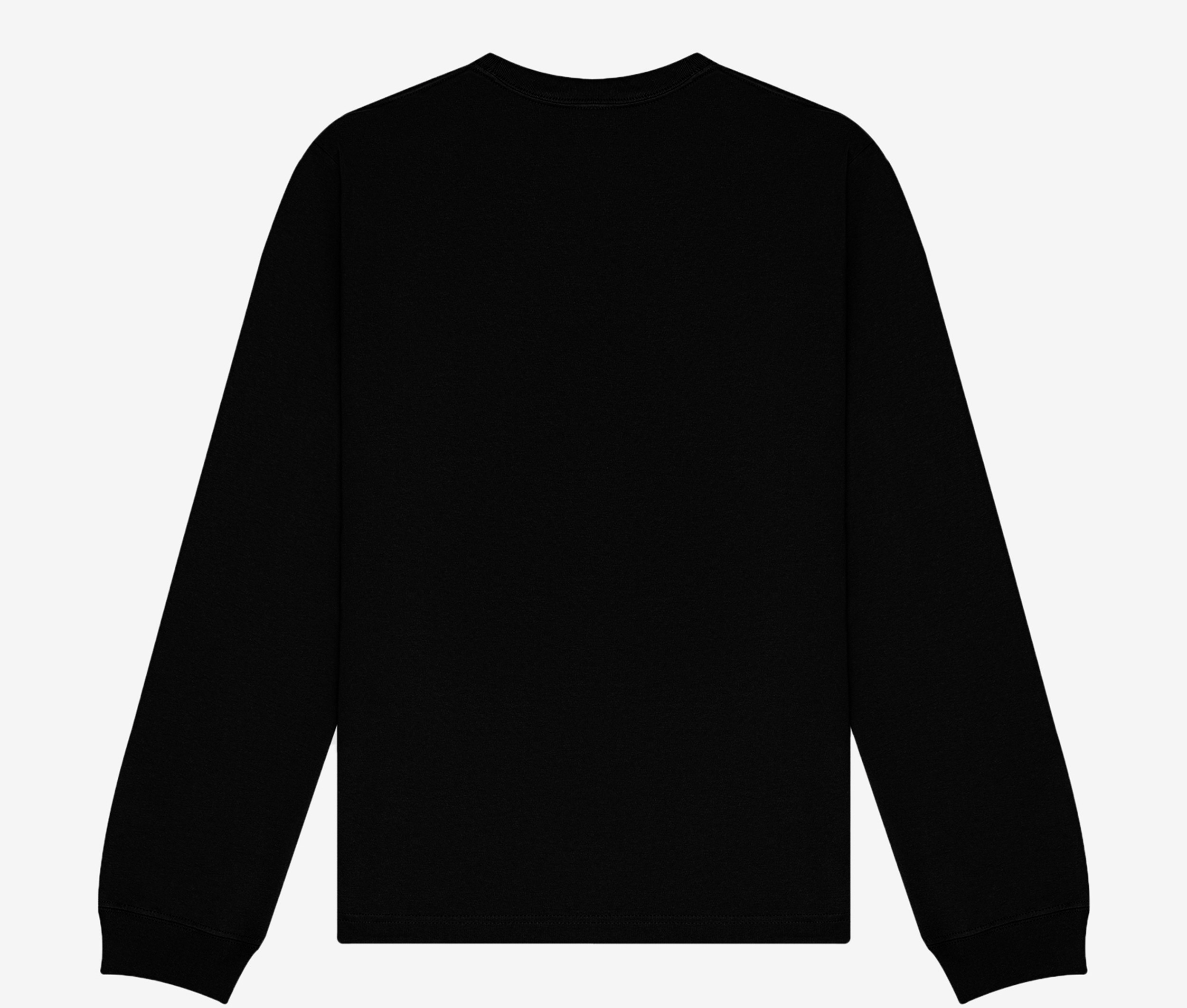 UNISEX LONG SLEEVE HEAVY TEE