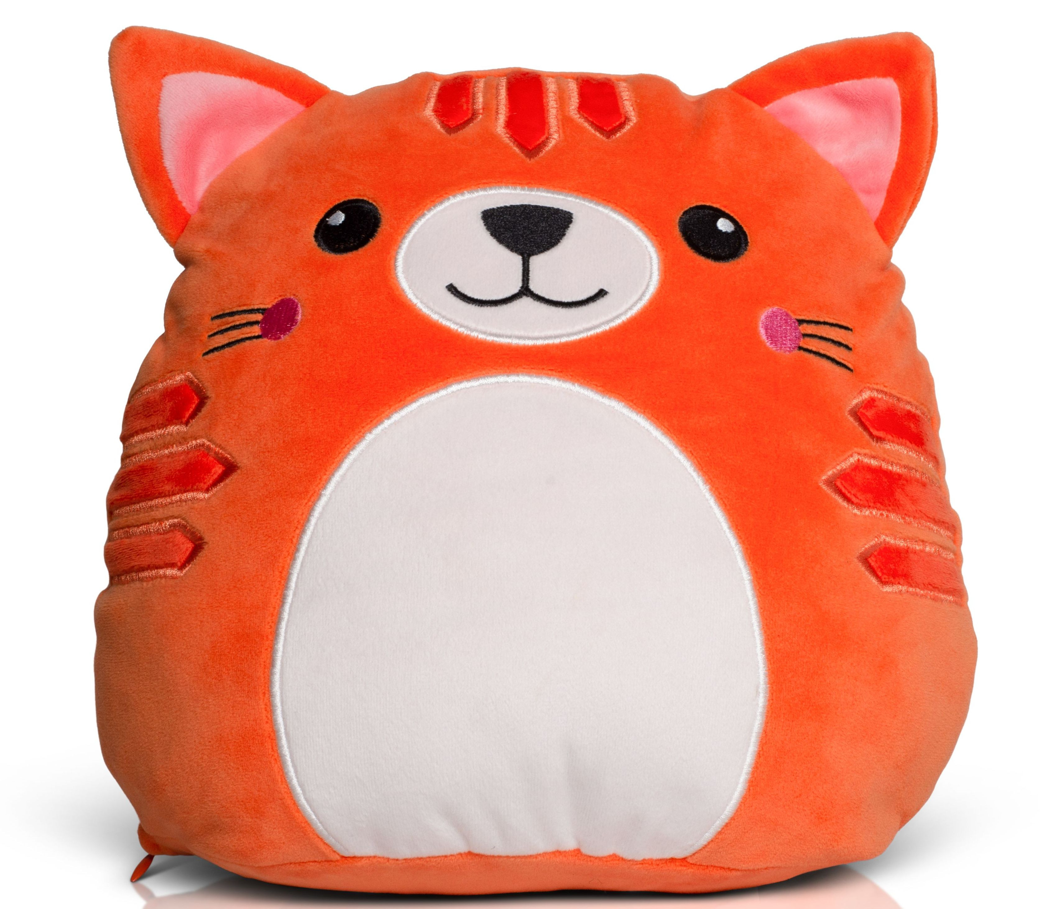 SQUIDGY GINGER CAT