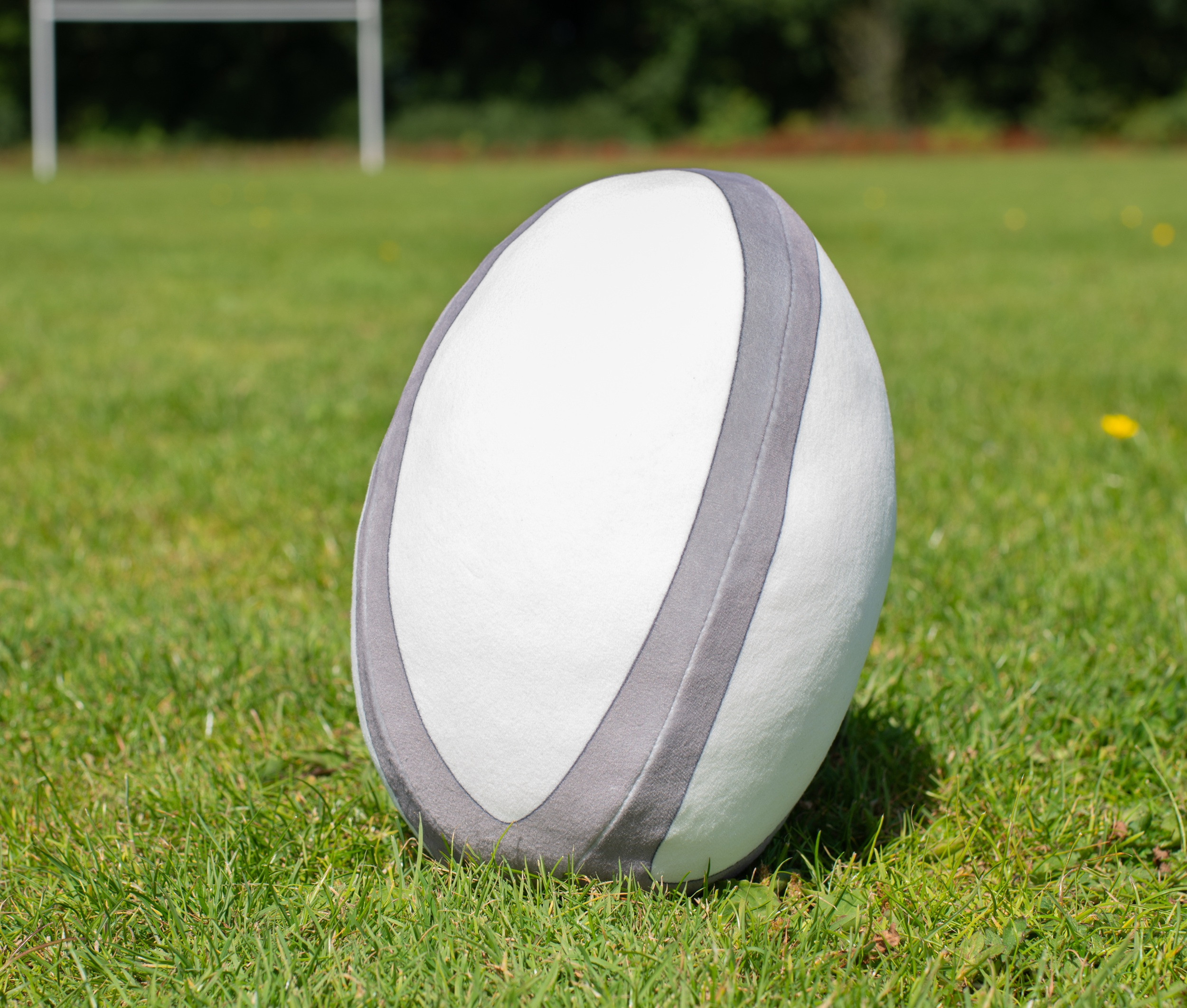 ZIPPIE RUGBY BALL
