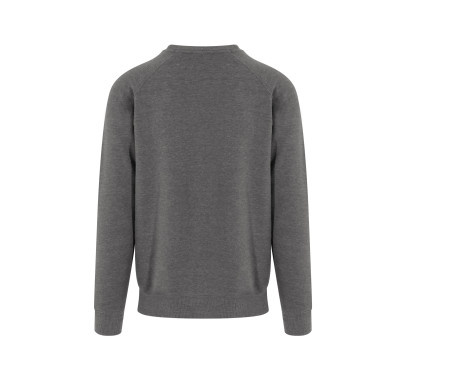 GRADUATE HEAVYWEIGHT SWEAT