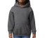 HEAVY BLEND YOUTH HOODED SWEATSHIRT