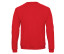 SET IN SWEATSHIRT ID202 50/50