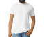 SOFTSTYLE CVC ADULT T-SHIRT
