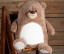 ZIPPIE BROWN BEAR