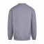 VISION HEAVYWEIGHT SWEAT