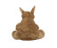 ZIPPIE KANGAROO