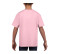 SOFTSTYLE® YOUTH T-SHIRT